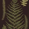 Cora löpare 35X120