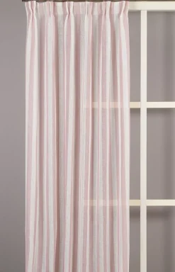 Disa rosa randiga gardiner