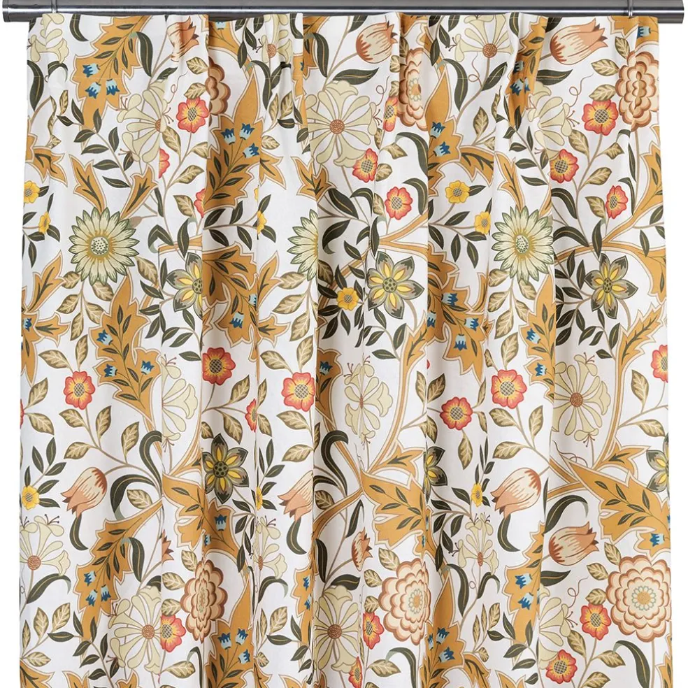 Flora ockra gardiner